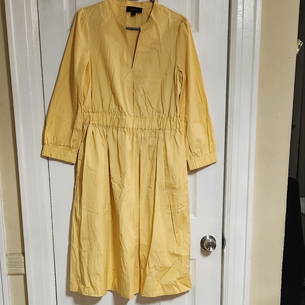 J.Crew Woman Dress
